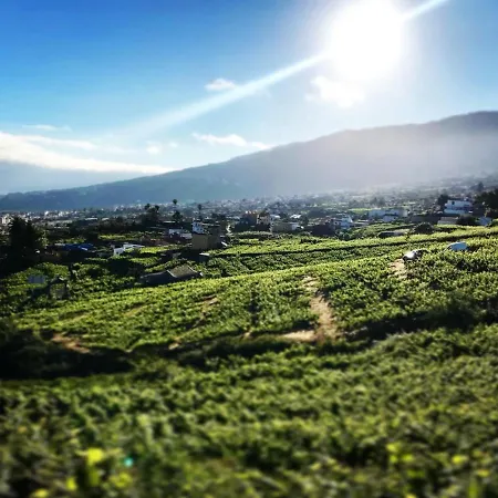 El Esquilon Tenerife *