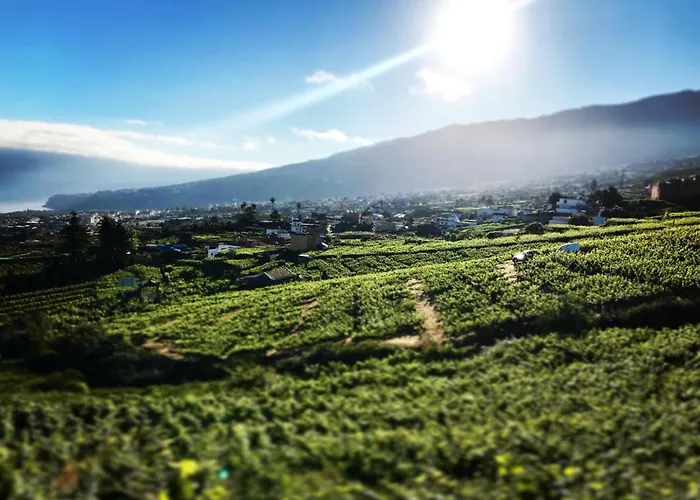 El Esquilon Tenerife *