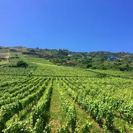 El Esquilon Tenerife 라오로타바