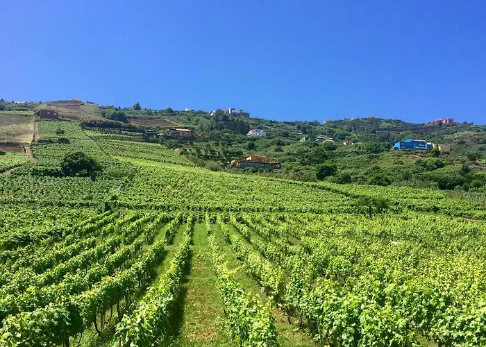 El Esquilon Tenerife Ля Оротава