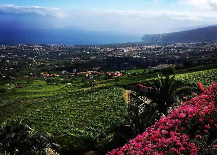 El Esquilon Tenerife Дом отдыха Ля Оротава